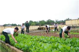 Ban CHQS huyện Phú Bình (Thái Nguyên): Tích cực tăng gia, nâng cao đời sống bộ đội